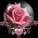 bassin_bug's Avatar