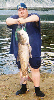 Bighead-Carp
