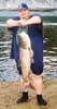 Bighead-Carp