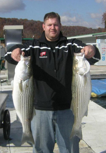 stripers