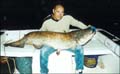 Jhans-fish