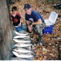 gotfish