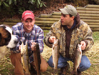fishqq