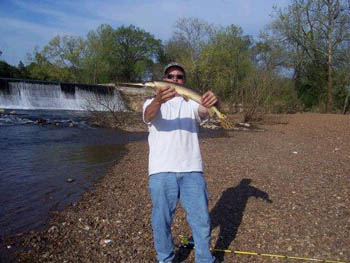 gar