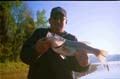 Gordon-Panter-7lb