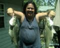 Ohio-River-Hybrids