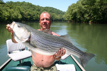 Cumberland1