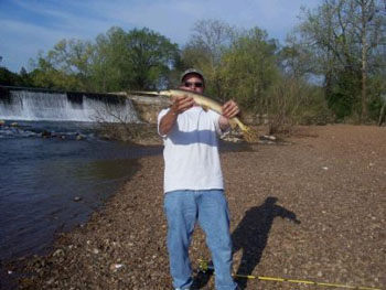 gar