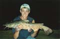 MattReardonCatfish