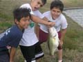 Bassn3boys
