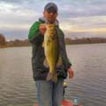 westboggsbass