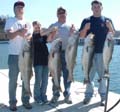 striper04012006