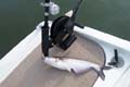 tvillelake-027