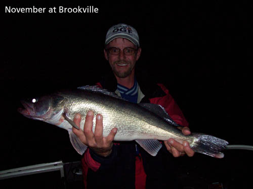 11-7-2006-at-Brookville