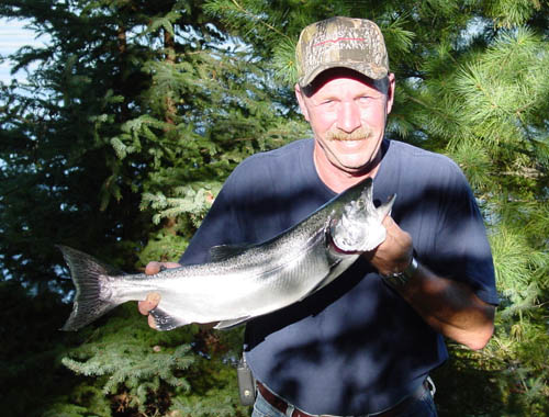 Jays-Salmon
