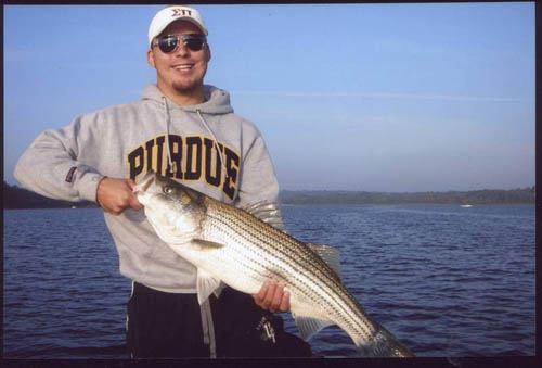 Striper100000-1