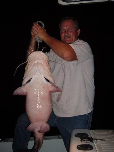 36lb-flathead-8-2-06-2