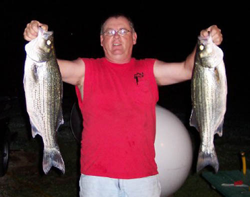 fish-1