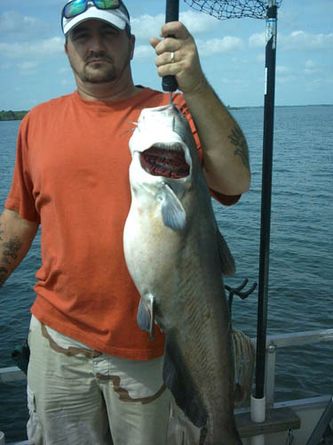 fish007