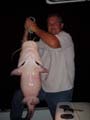 36lb-flathead-8-2-06-2