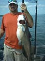 fish007