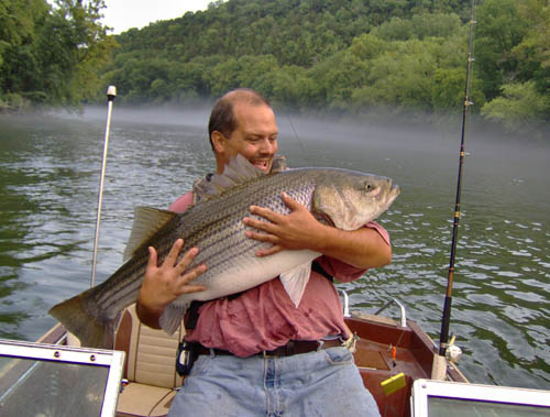 58lbs