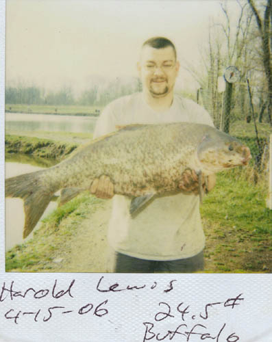 buffalo-carp24-5