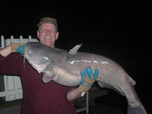 jdscatfish06