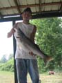 McAlpine15striper