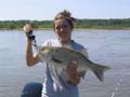 McAlpinestriper2