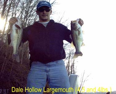 Dale-LM-medium-picture