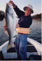 Benny-Fish-1