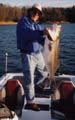 Benny-Fish-2