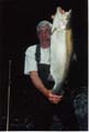 Benny-Fish-3