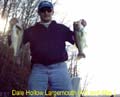 Dale-LM-medium-picture