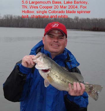 wes-cooper