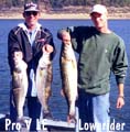 provle-lowerider
