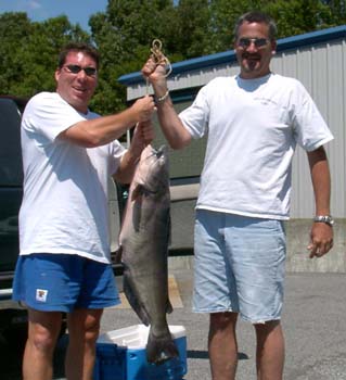 6-lb-test