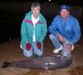 Eulis-Francis-95lbs-Blue-Cat