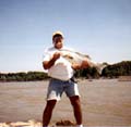 ohio-river-striper-jpg