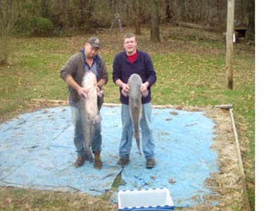 bill-martin-sr&jr-58&20lb