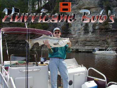 hurricane-20lb