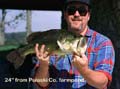 bass-a
