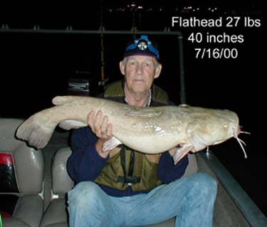flathead27lbs