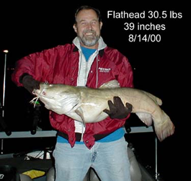 flathead30.5lbs