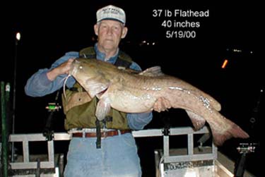 flathead37lb
