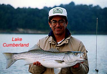 luke-banks-Cumberland