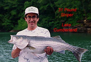 luke-banks-cumberland2