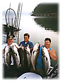 6 Stripers