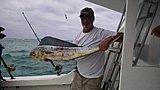Click image for larger version.&nbsp;

Name:	IMG_20150212_123608746.jpg&nbsp;
Views:	317&nbsp;
Size:	38.8 KB&nbsp;
ID:	10304
